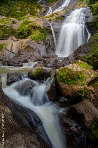 waterfall in the forest