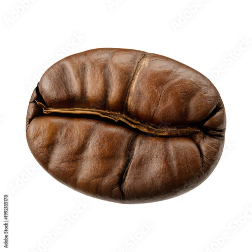Single whole coffee bean with natural texture and crease isolated on transparent background