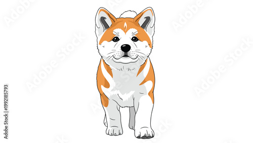 Cute Akita puppy illustration standing and looking forward with a friendly and alert expression on a white background.