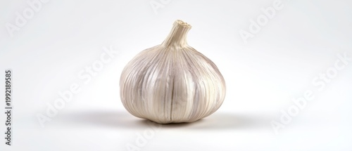 The garlic bulb on a white background with soft studio lighting