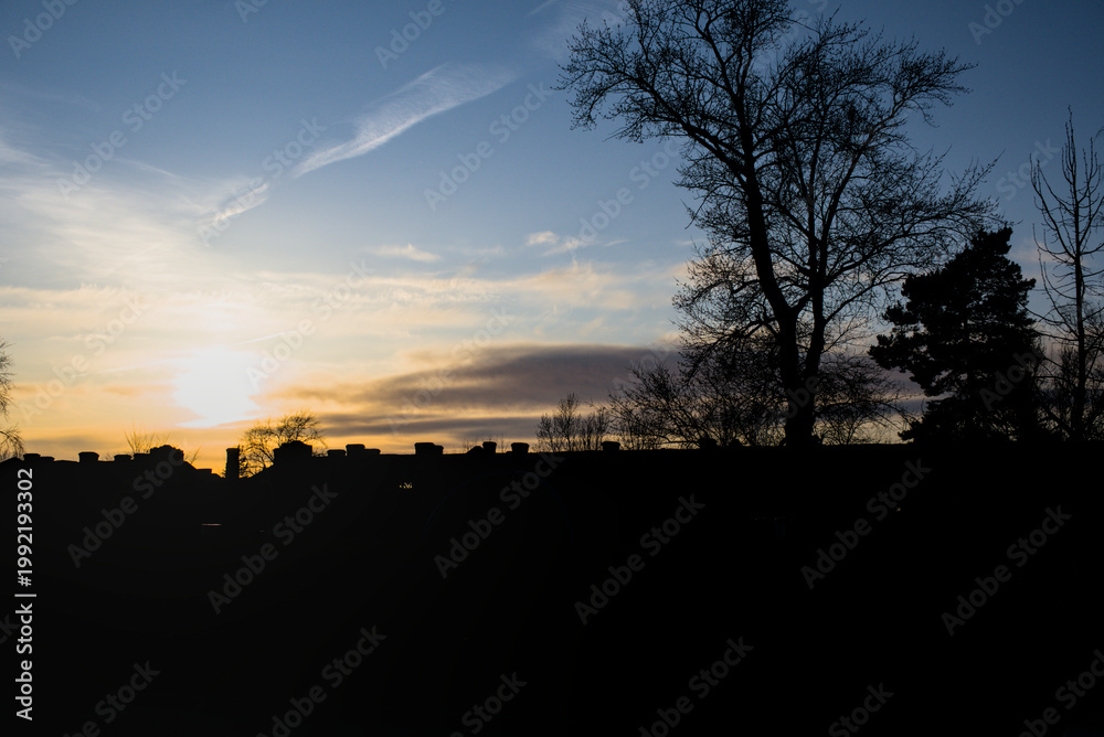 Naklejka premium Silhouette cemetery at sunset