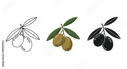 Green olive branch set in outline and flat vector - Line and glyph solid icon and logo template - Vector icon symbol for website - Icon vector. Icon