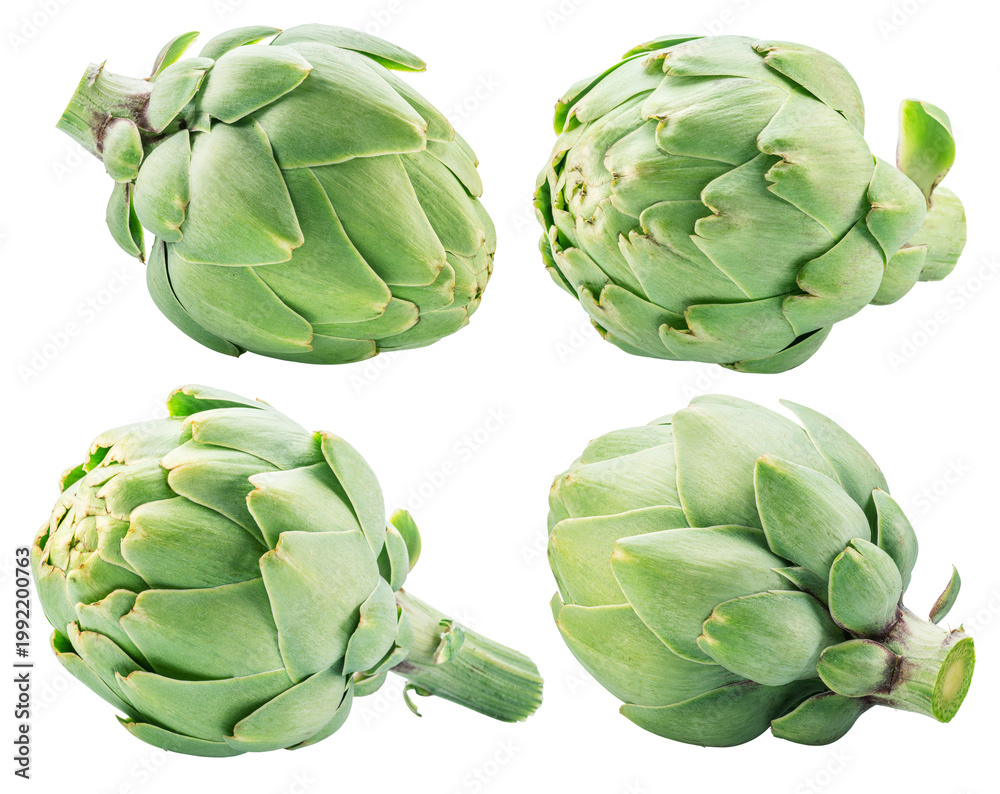 Fototapeta premium Four french artichokes isolated on white background. File contains clipping paths.