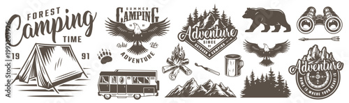 Camping time in the forest