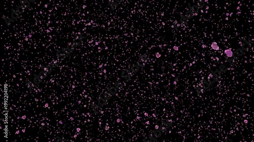 Flying Rose Flower Flakes overlays