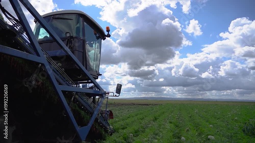 Harvester Machine Extracting Organic Carrots from Field in Slow Motion. Side view of a modern carrot harvester working on a vast field under a cloudy sky.  Smart farming.