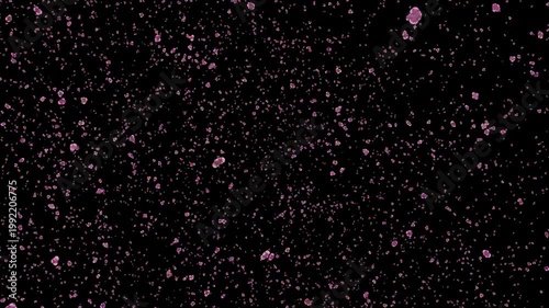 Flying Rose Flower Flakes overlays