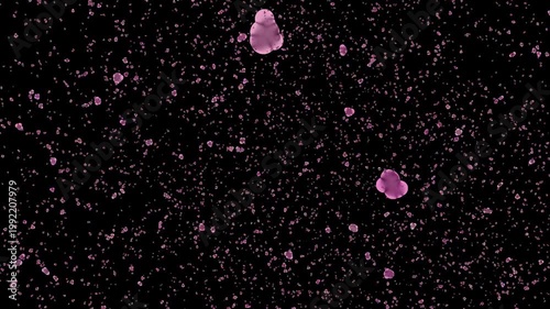 Flying Rose Flower Flakes overlays