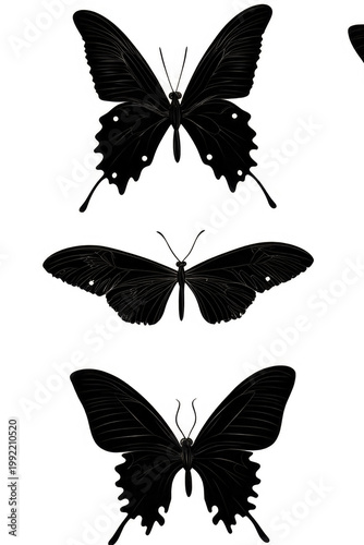 Six black butterflies sit on a white background, providing a striking contrast vertical frame