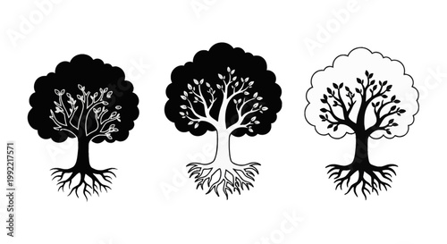 Collection of three stylized black and white tree icons with visible roots and leafy branches. Graphic set includes solid silhouettes and outlined versions on a plain white background.