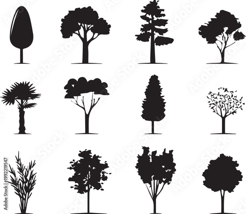 Black tree silhouette collection highlighting seasonal foliage and natural landscape