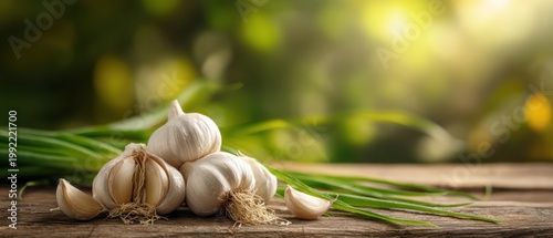 The Garlic Bulbs on a Rustic Wooden Table with Fresh Green Leaves and Sunlight