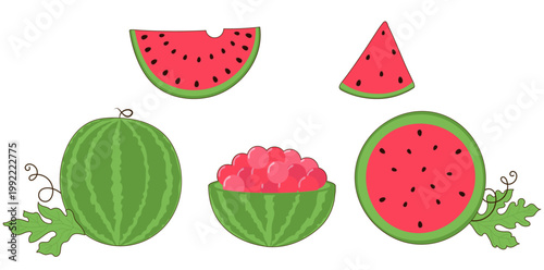 Cute Watermelon Set – Hand Drawn Watermelon Collection, Slices, Whole and Bowl Vector Illustration