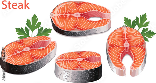 Salmon Steak Vector Set Featuring Fresh Raw Fish Slices with Detailed Texture and Herbs for Seafood Cooking Menu Design and Healthy Food Concepts