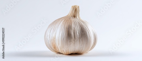 The Garlic Bulb on a White Surface with Soft Studio Lighting for Culinary Use