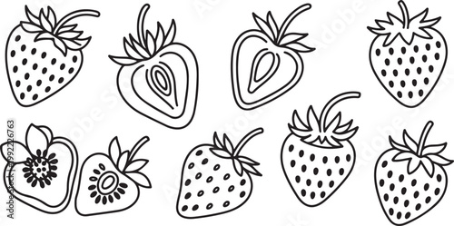 Vector strawberry line art illustrations set, hand drawn botanical outline drawing. Summer fruit.one line drawing vector illustration