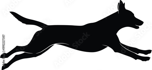 Action Silhouette of a Fast Running German Shepherd Dog