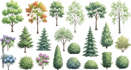 Collection of Hand Drawn Watercolor Style Trees and Shrubs Isolated on White Background for Landscape Design