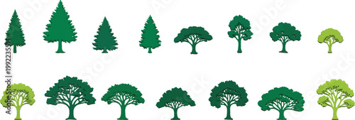 Set of Flat Vector Tree Icons Featuring Various Coniferous and Deciduous Species for Landscape Design Projects