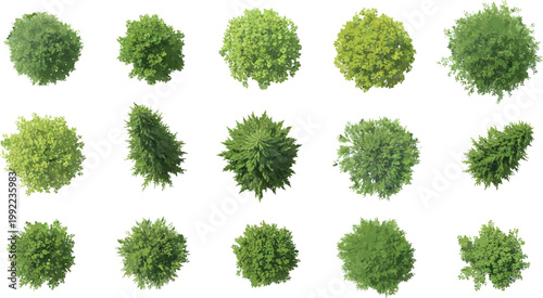 Set of 15 Top View Tree Illustrations for Architectural Landscape Design and Urban Planning Projects