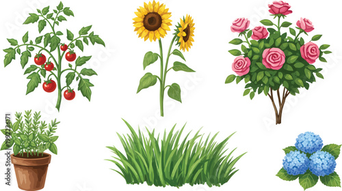 Set of Garden Elements Featuring Tomato Plant Sunflowers Rose Bush Potted Herb Grass Patch and Blue Hydrangea Flowers