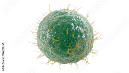Green spherical bacterium with yellow hair-like appendages, isolated on transparent background