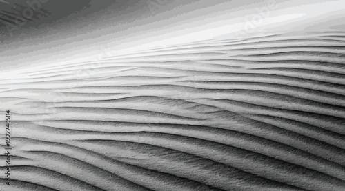 Abstract monochrome landscape of undulating sand dunes in a desert, minimalist nature photography with soft light and shadows