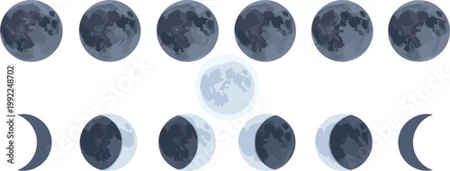 Detailed vector illustration of lunar cycle showing moon phases from new moon to full moon and waning sequence on white background