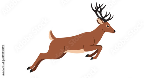 Brown Deer with Large Antlers Running.