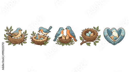 Charming cartoon birds nests eggs chicks illustrate family life, showing parenting, hatching, and nurturing in a delightful collection.