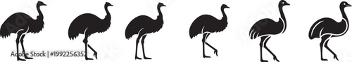 Ostrich and Emu Bird Silhouette Vector Icon Set