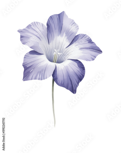 Delicate pansy bloom with soft violet and blush petals in gentle watercolor style.