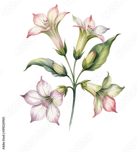 Graceful white bellflower stems with soft blossoms in delicate watercolor style.