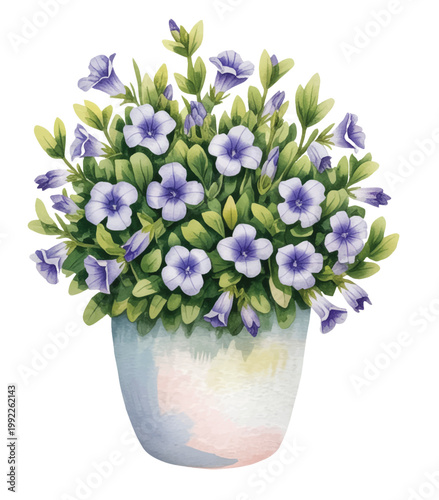 Delicate floral arrangement in a pastel pot with blooming garden charm.
