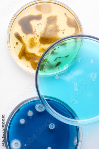 Foto Biochemistry