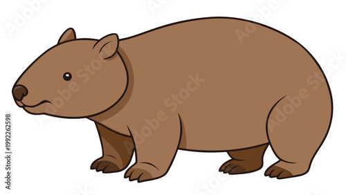 Cute brown wombat illustration standing in profile isolated on a white background for educational children content