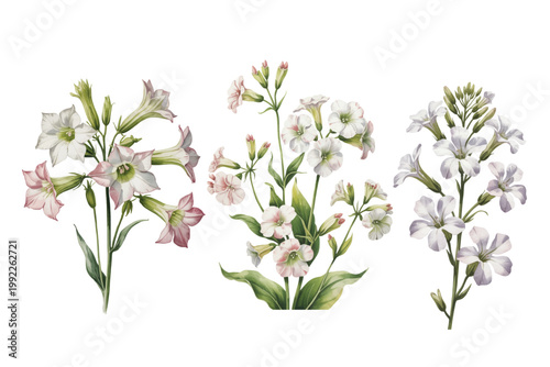 Elegant vertical composition of light pastel blooms with slender green stem.
