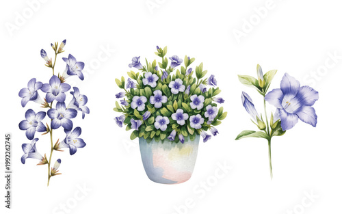 Hand-painted botanical set with delicate blue blossoms and lush green leaves in a calm composition.