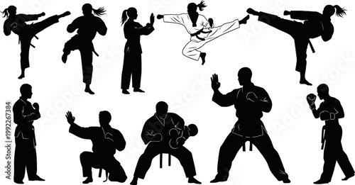 Silhouettes of people practicing various martial arts poses and movements in different stances
