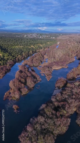 Aerial view from a drone of the Alberche River near the Cazalegas Reservoir, close to the town of Cazalegas. Province of Toledo. Castile-La Mancha. Spain. Europe
