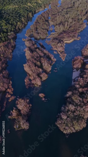Aerial view from a drone of the Alberche River near the Cazalegas Reservoir, close to the town of Cazalegas. Province of Toledo. Castile-La Mancha. Spain. Europe
