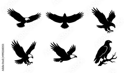 Bald eagle silhouette vector set, 6 black bird of prey icons, majestic flying hawk and soaring falcon graphics, wild eagle mascot collection
