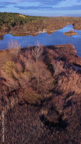Aerial view from a drone of the Alberche River near the Cazalegas Reservoir, close to the town of Cazalegas. Province of Toledo. Castile-La Mancha. Spain. Europe