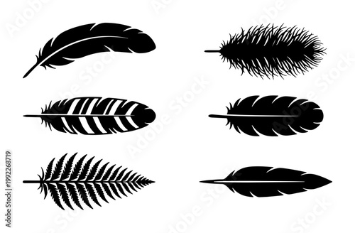 Black feather silhouettes collection, set of 6 bird feather icons, decorative quill and plumage vector elements for logo design and branding