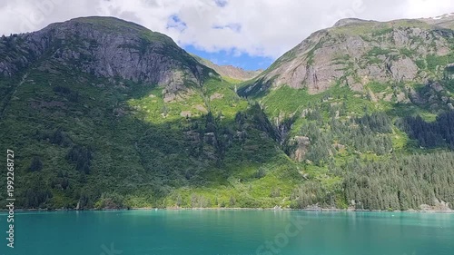 August 13, 2024 - Tracy Arm, USA - Scenic view of the Tracy Arm Fjord landscape with trees and mountains. Overview of the glacial environment in Alaska.