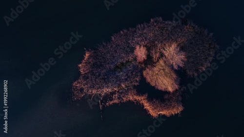 Aerial view from a drone of the Alberche River near the Cazalegas Reservoir, close to the town of Cazalegas. Province of Toledo. Castile-La Mancha. Spain. Europe