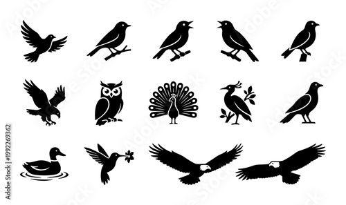 Minimalist bird silhouette icons set, 14 black avian vector illustrations, wild bird species collection including owl eagle and peacock