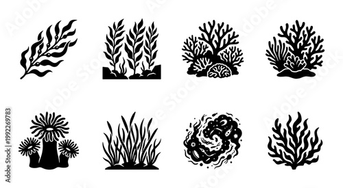 Black coral and seaweed vector icons set, underwater marine plant silhouettes, 8 ocean flora elements for aquatic nature design and sea life branding