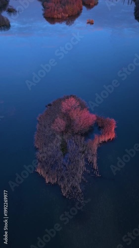 Aerial view from a drone of the Alberche River near the Cazalegas Reservoir, close to the town of Cazalegas. Province of Toledo. Castile-La Mancha. Spain. Europe