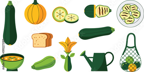 Fresh Zucchini and Summer Squash Garden Vector Illustration Set Featuring Whole Vegetables, Sliced Rounds, Grilled Zucchini, Soup, and Gardening Tools for Healthy Eating Designs